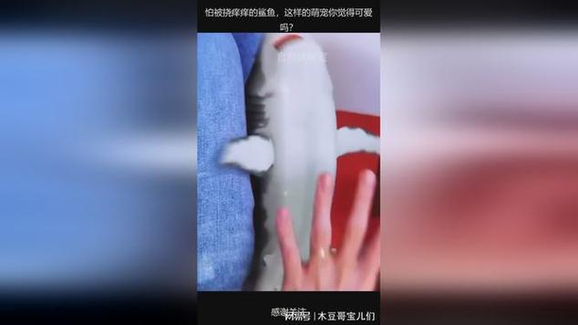 挠痒痒的鲨鱼妹妹脚底板缩略图