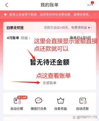 京东白条不是本人怎么还款图标