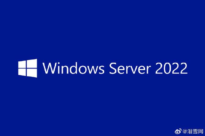winserver2022下载图标