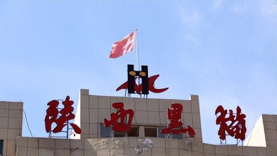 陕西黑猫被国家正式批准了吗