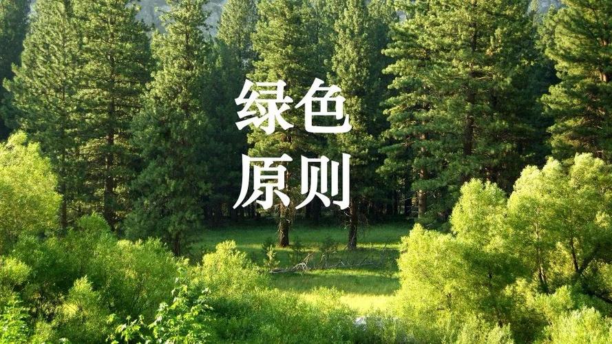 全球生态环境治理的原则缩略图