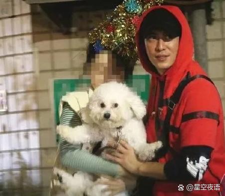 狗狗半夜一直哼哼唧唧的是怎么回事缩略图