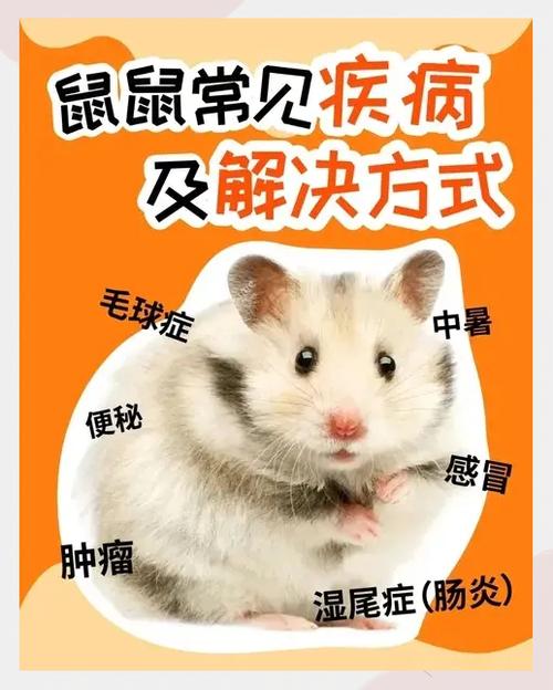 小孩子手被仓鼠咬了一口缩略图