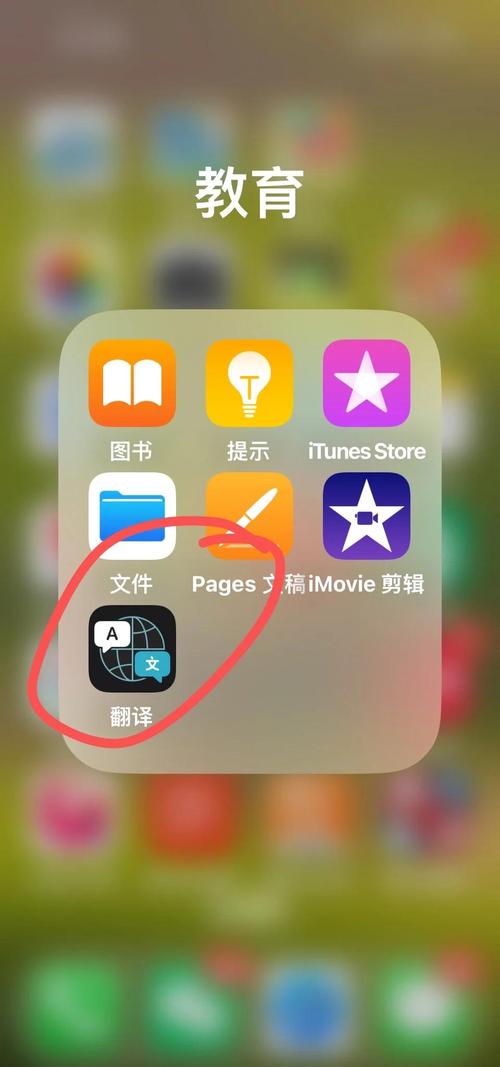苹果手机拍照翻译功能在哪里图标