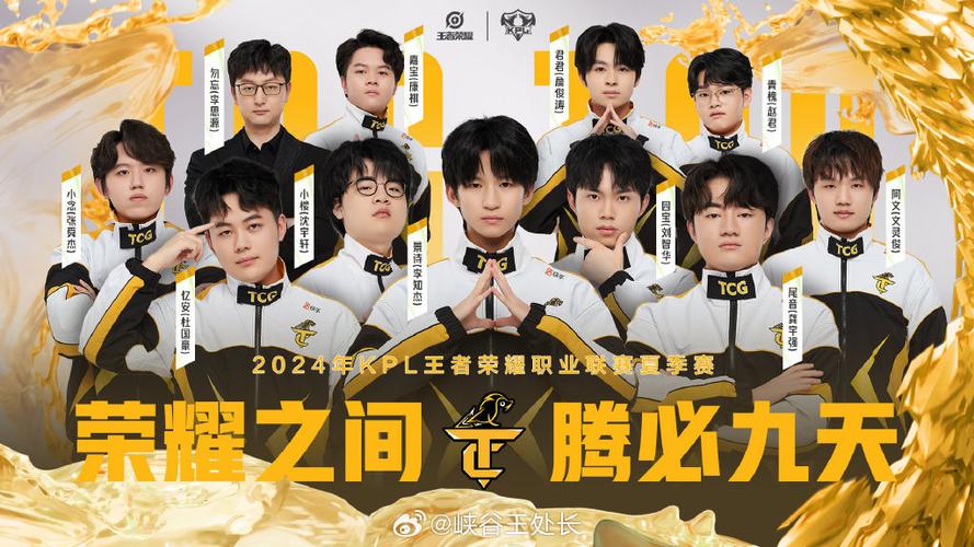 王者荣耀微信区第一战队游戏截图