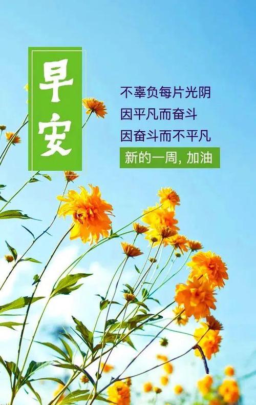 正能量的句子经典语句缩略图