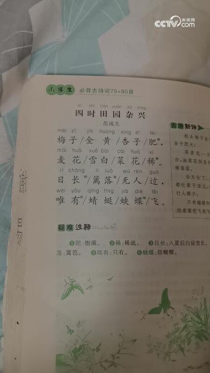 四时田园杂兴古诗带拼音其二十五缩略图