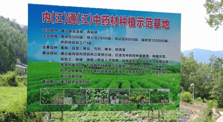 寻找药厂合作种植药材