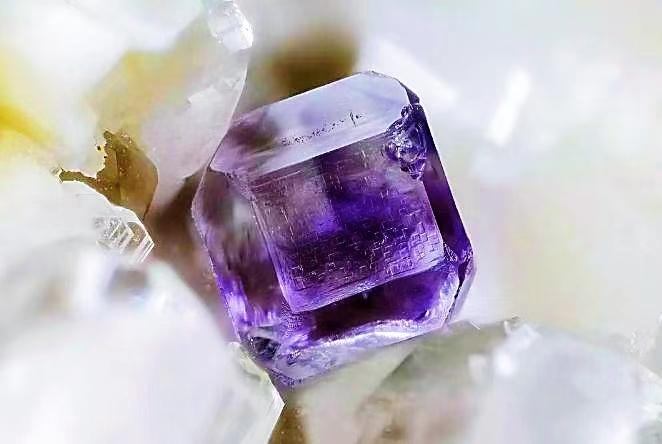 紫莹石最旺的属相图标