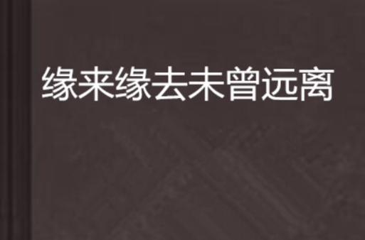 有些缘分要绕很大一圈游戏截图