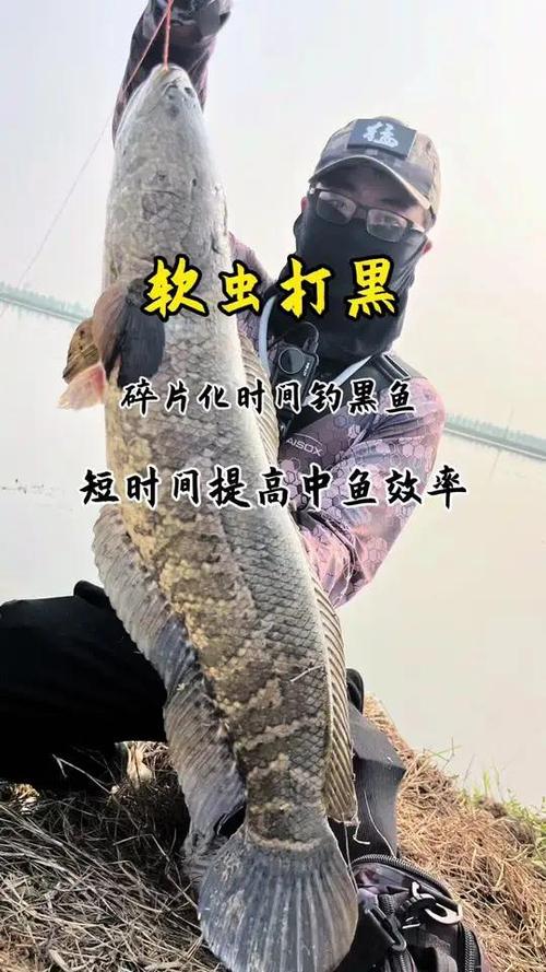 一天中钓黑鱼最佳时间缩略图