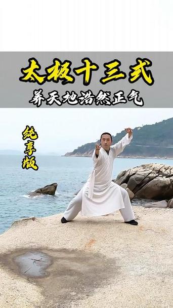 李在峰养正十三式口令版游戏截图