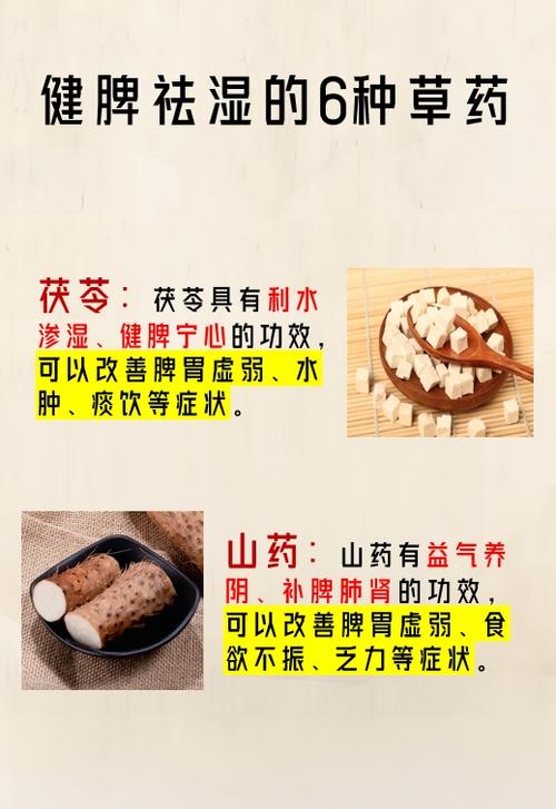 祛除湿气的方法图标