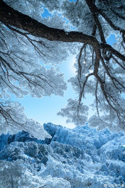 飘雪在线观看免费观看高清缩略图