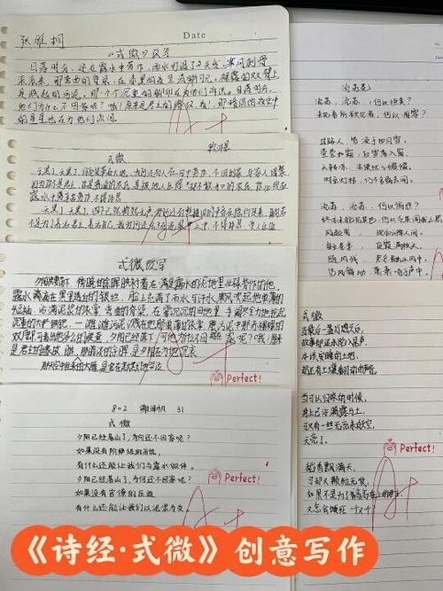 仿写诗经写一首诗图标