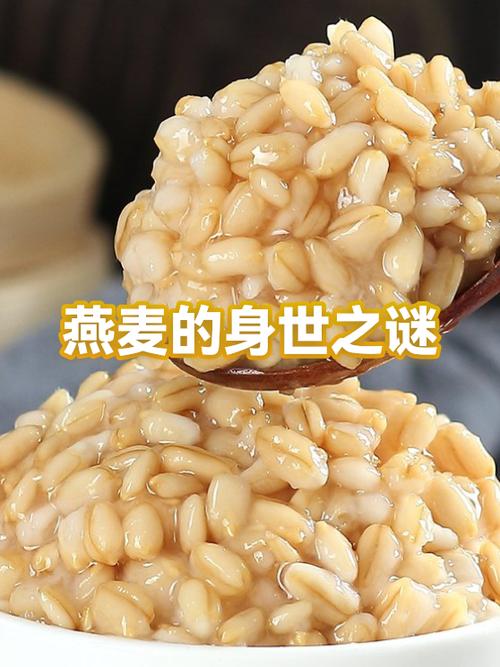金瓜燕麦如何制作最简单方法游戏截图