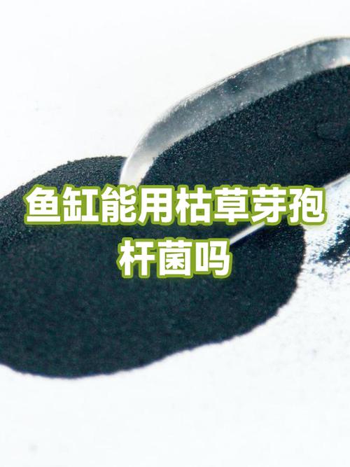 人吃的益生菌可以放鱼缸里么图标