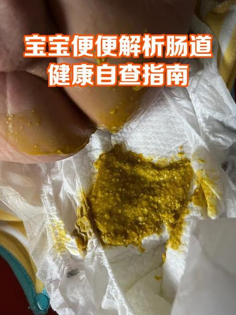小肠病变有什么症状图标
