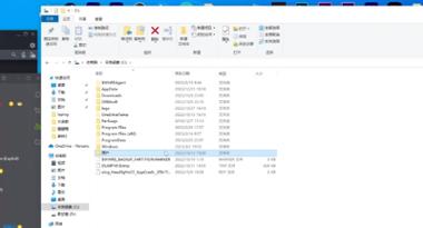 网吧森林存档文件在哪里缩略图