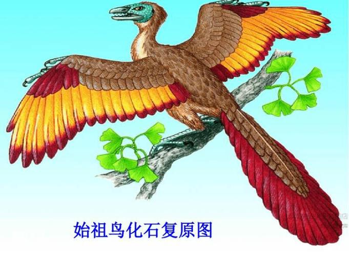 始祖鸟哪里产地最好缩略图