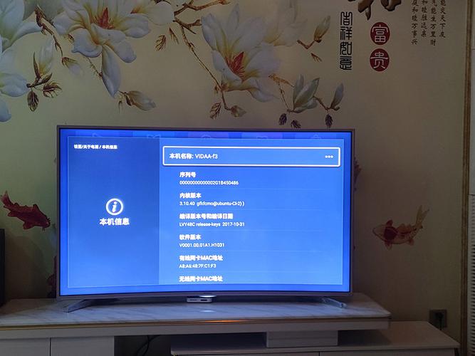 杂牌电视怎么退出屏自检缩略图