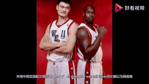 巅峰奥尼尔和巅峰姚明缩略图