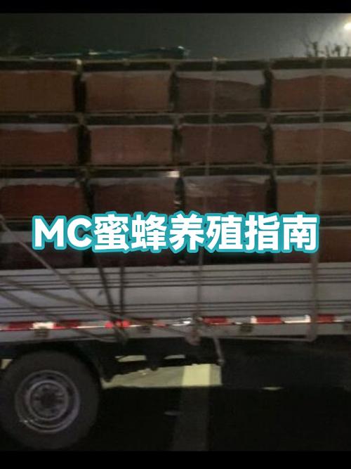 我的世界蜜蜂繁殖方法游戏截图