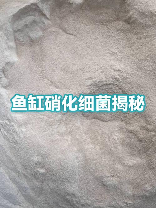 鱼缸硝化细菌和益生菌可以一起用吗图标