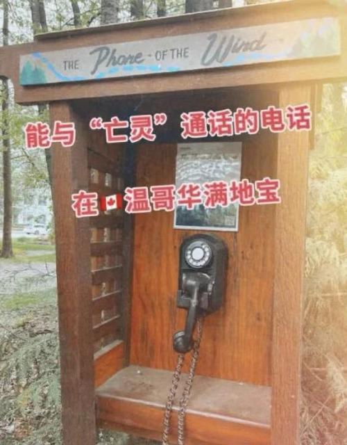 通话录音可以调出来吗