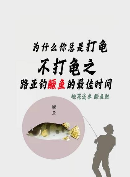 一天中钓鳜鱼最佳时间游戏截图