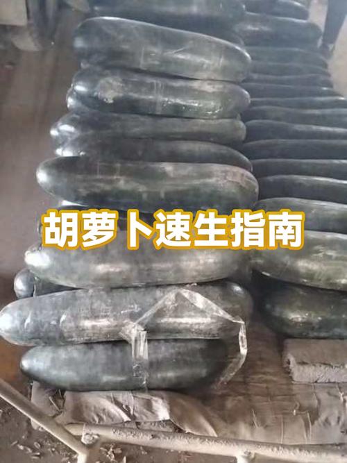 速速胡萝卜哪里刷图标
