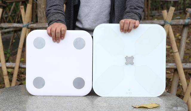 有品和小米体脂秤哪个好缩略图