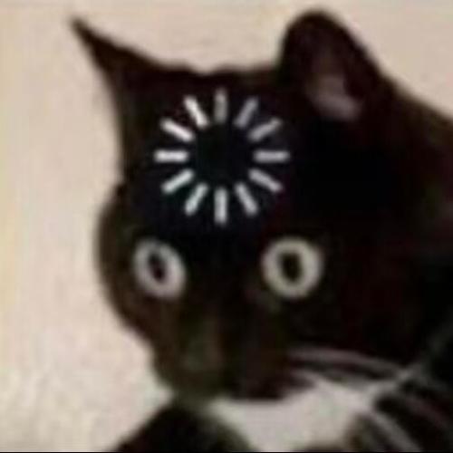 黑猫loading表情包