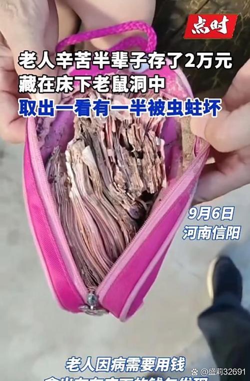 钱包被老鼠咬了意味着什么图标