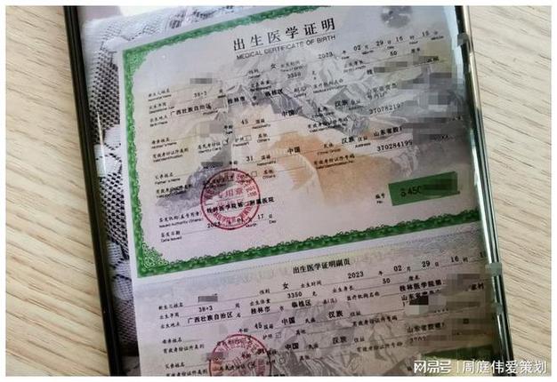 伪造出生证明骗取拆迁款怎么处理图标