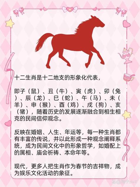 一无所有开过什么生肖缩略图