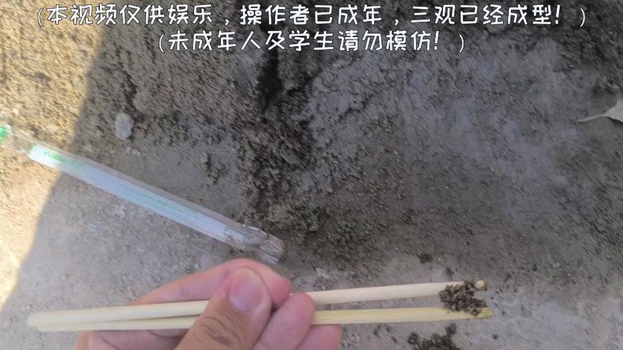 “筷子夹水泥”是脏话吗缩略图
