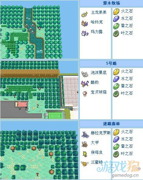 口袋妖怪黑2练级地点游戏截图