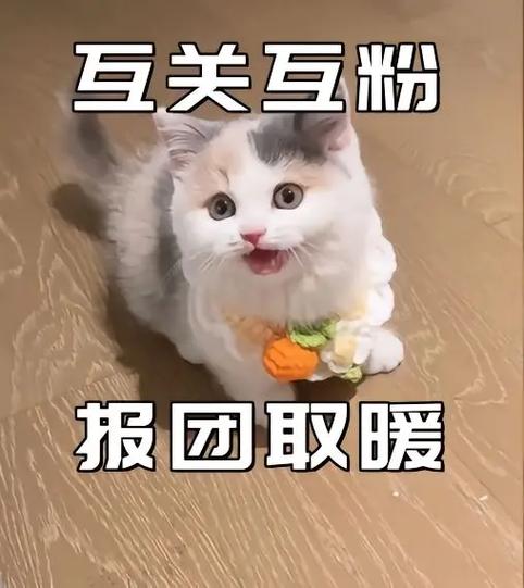 两会互济互助抱团取暖缩略图