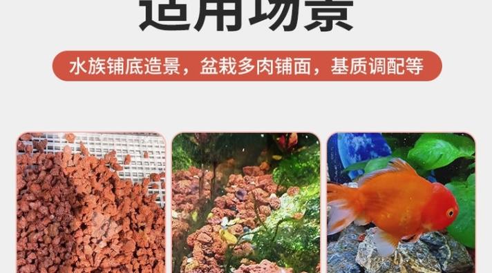 火山石对锦鲤有好处吗缩略图