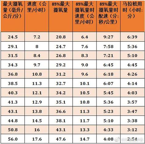 50-60岁最佳摄氧量游戏截图