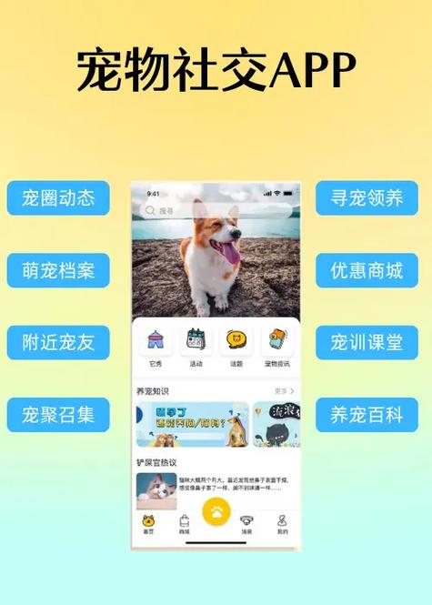 养什么宠物好养又干净游戏截图