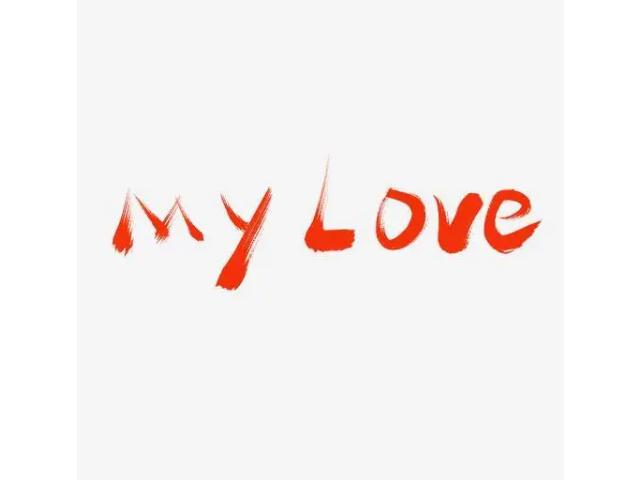 my love中文翻译图标