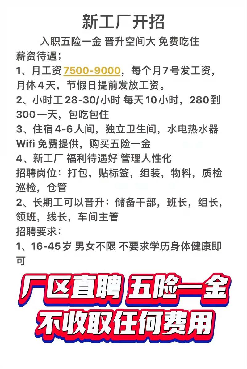 9i果冻制作厂招聘平台游戏截图