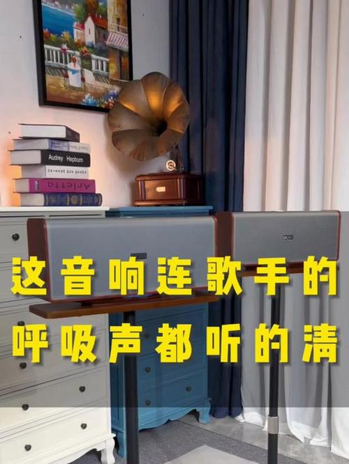 视频去掉人声保留背景音乐图标