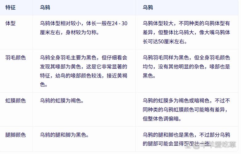 乌鸫是乌鸦吗图标