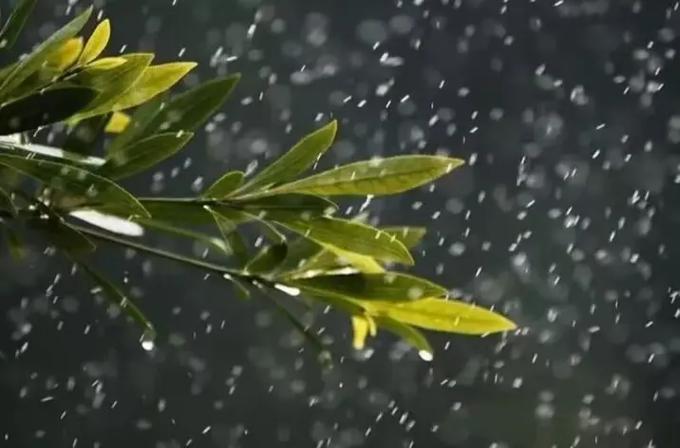 春雨免费版在线观看全集电影视频动游戏截图