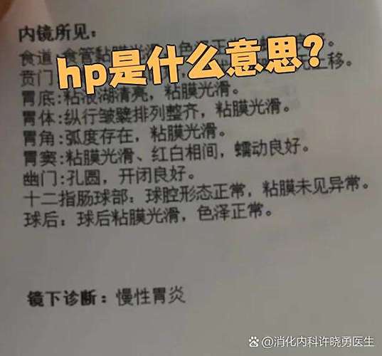hp是什么意思是什么病图标
