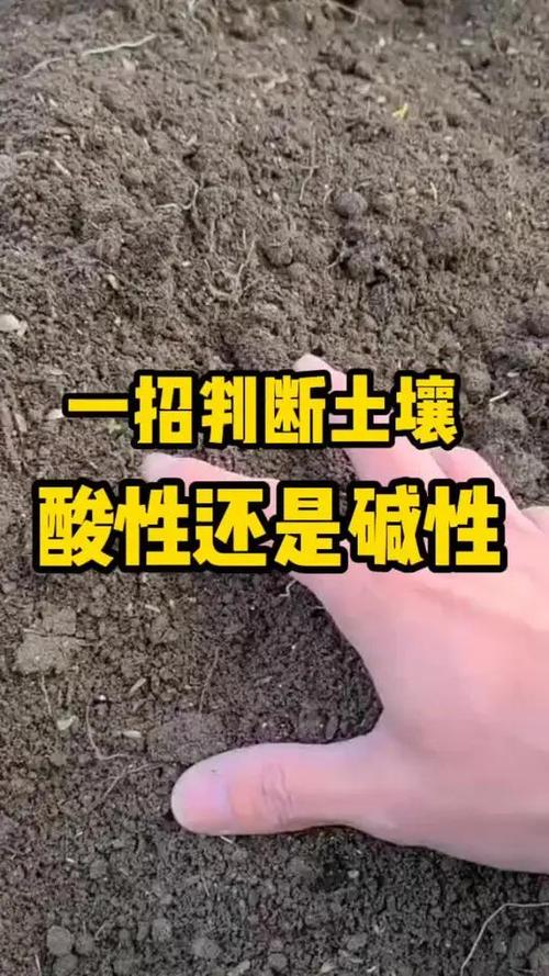 碱性土壤图片图标