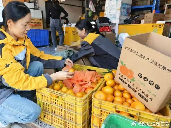 哪个快递寄东西便宜又实惠图标